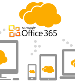 How to Install Office 2013 Using Office 365