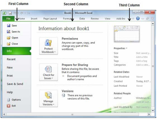 The BackStage View in Excel 2010